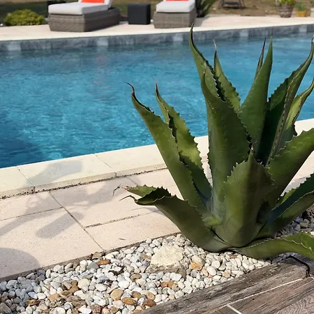 شقة Entre Bordeaux Et Saint-emilion Elegant Avec Piscine Privee *